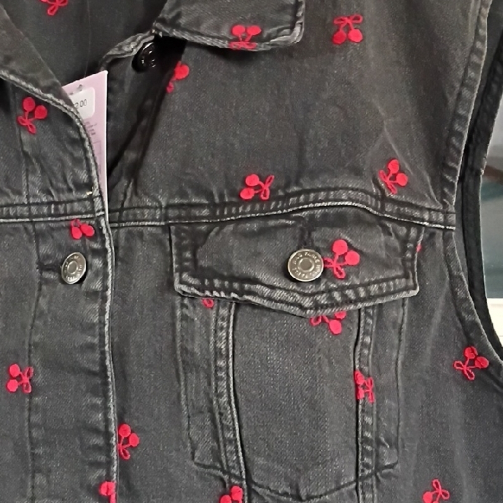 Wild Fable Black Jean Jacket with Red Floral Embroidery - Picture 4 of 7